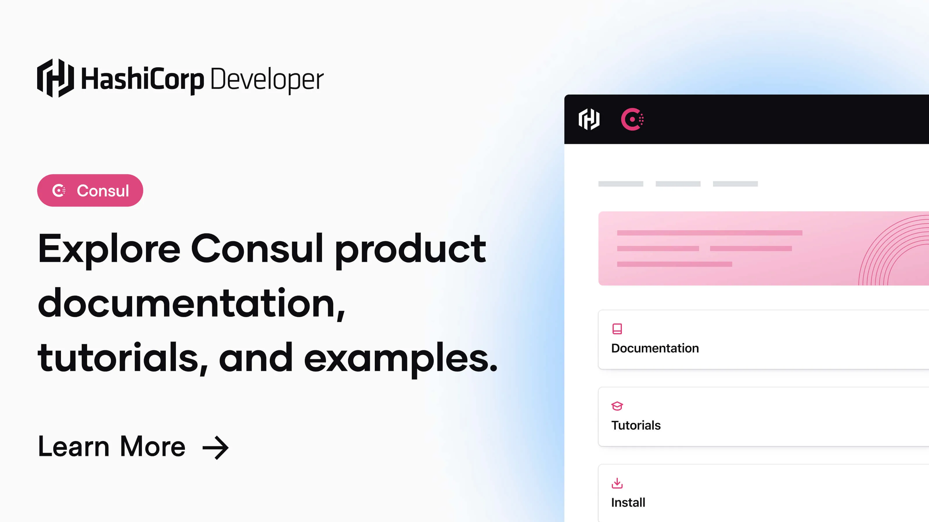 consul, picture 1