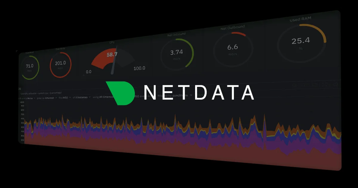 netdata, picture 1